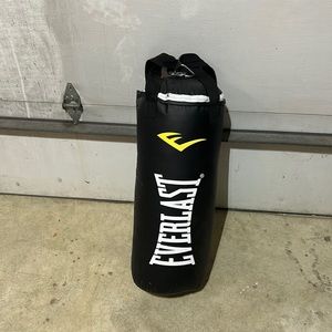 Everlast punching bag